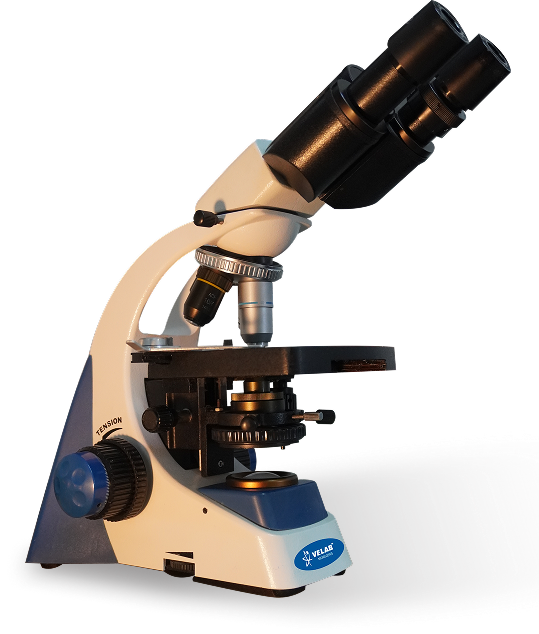 Microscopio